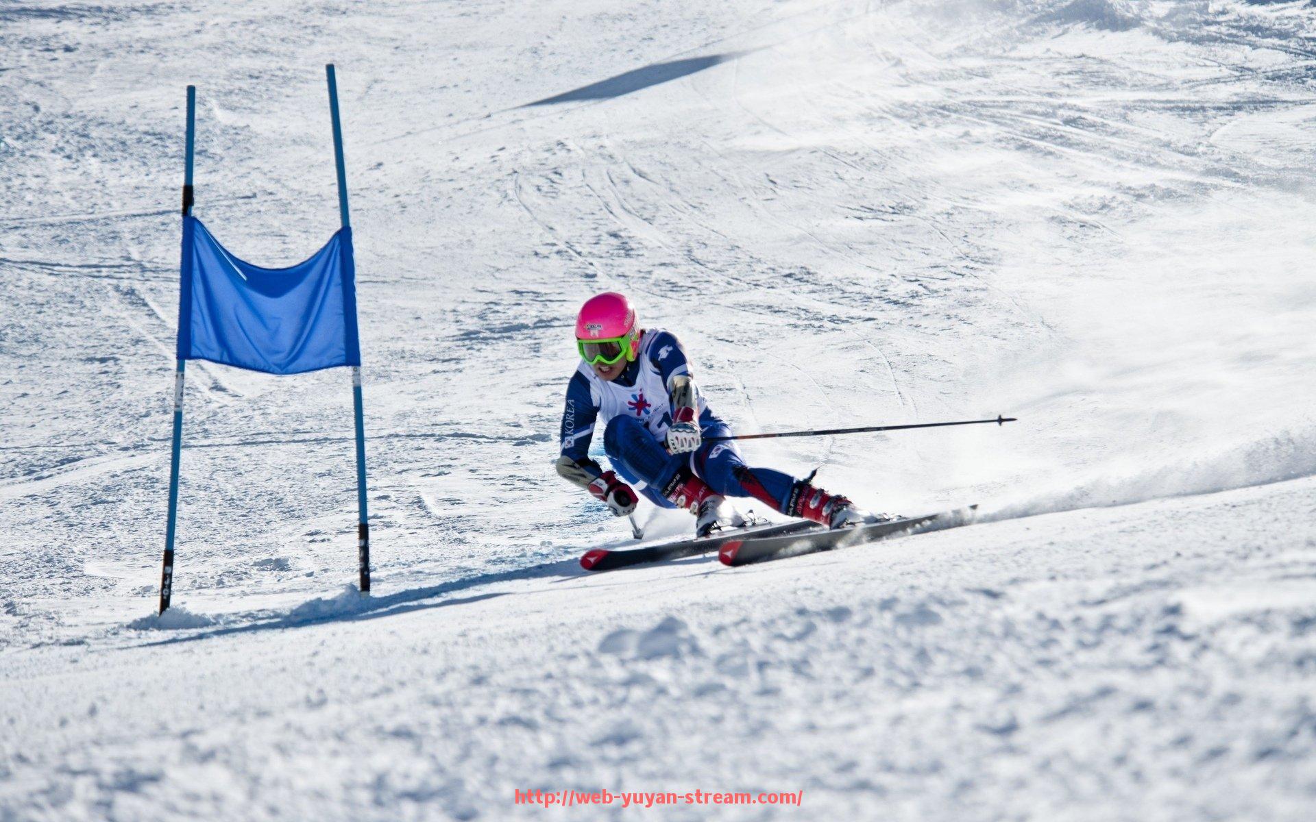 雨燕直播-朱松玮所属CBA球队介绍及体育竞技实力评估
