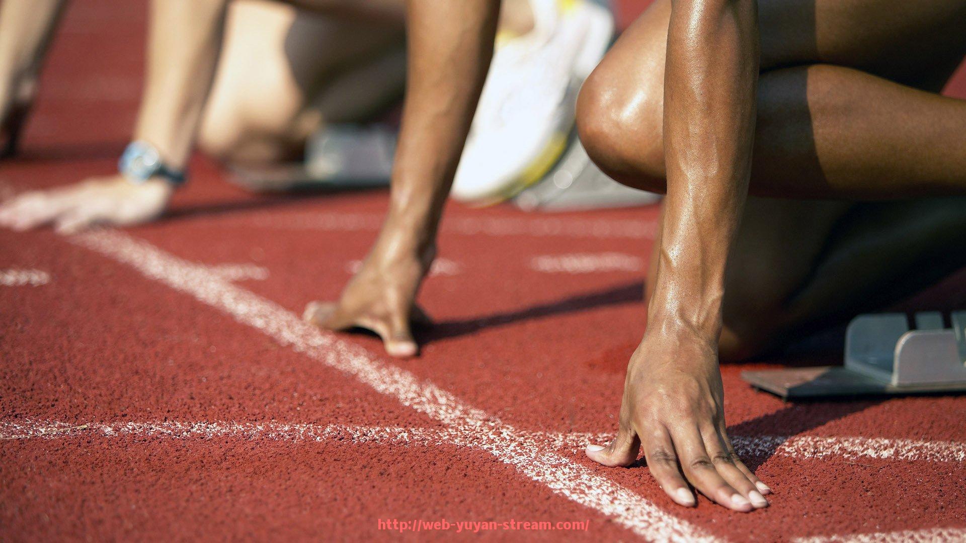 雨燕直播-世俱杯赛事新闻发布机制与媒体接入权限规则