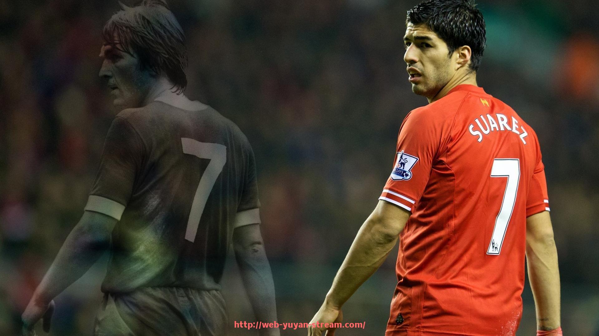 雨燕直播-世俱杯门票怎么买？2025年官方购票渠道与防黄牛提示